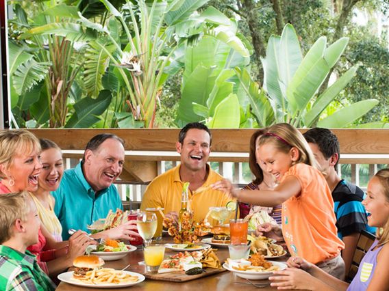 Landshark Bar & Grill photo