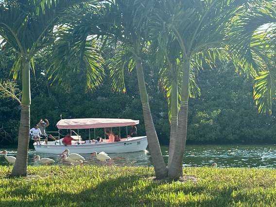 St Pete Beach Electric Boat Co photo