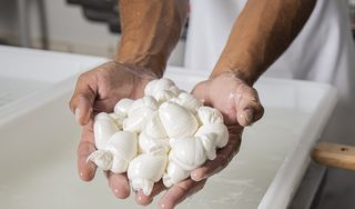Mimmo's Mozzarella Italian Market , Cafe & Cheese Factory