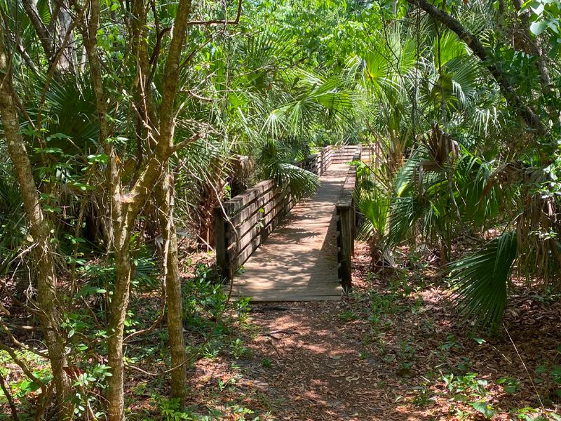Black Hammock Trailhead photo