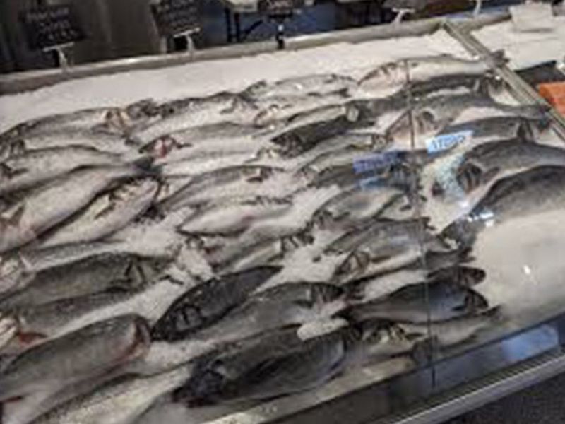 Krudo Fish Market photo
