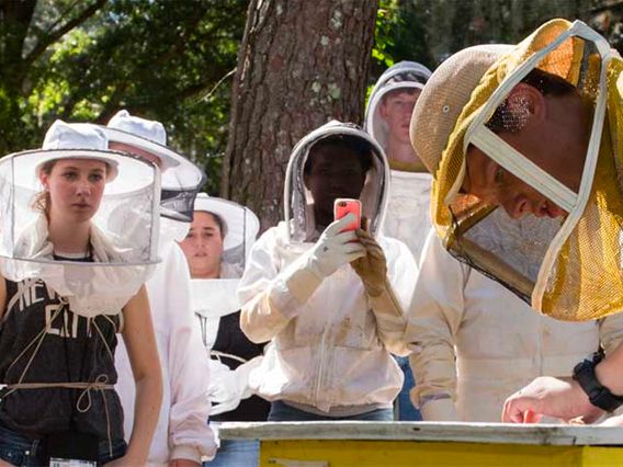 UF/IFAS Extension Seminole County Services and Teaching Gardens photo