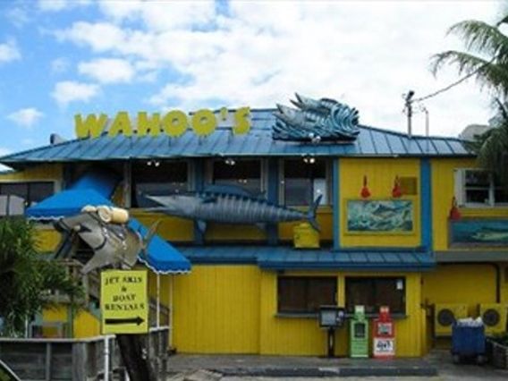 Wahoo's Bar & Grill photo