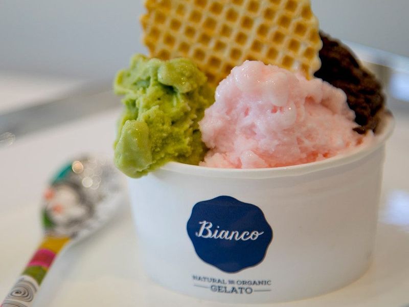 Bianco Gelato Coconut Grove photo