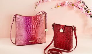 Brahmin