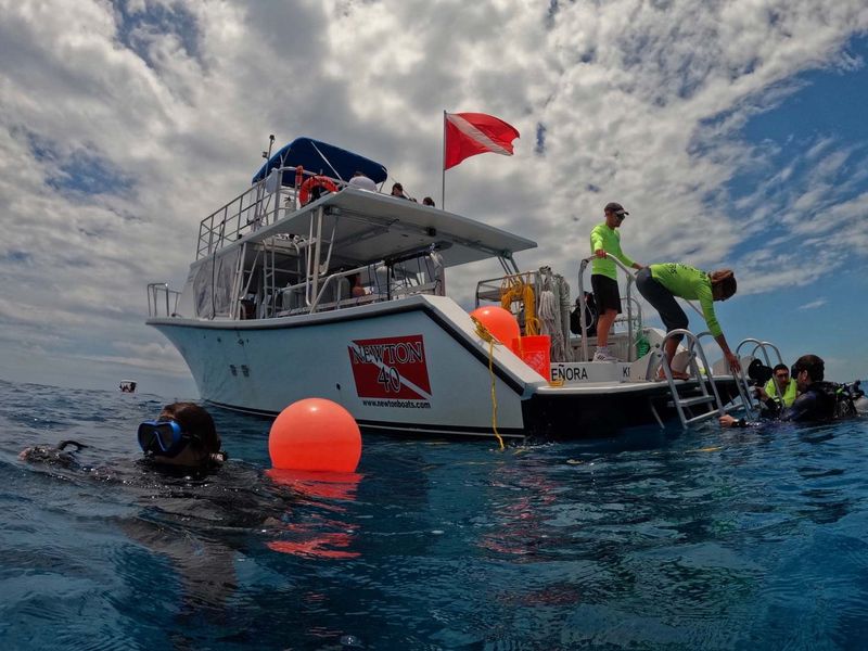 Diver's Paradise photo