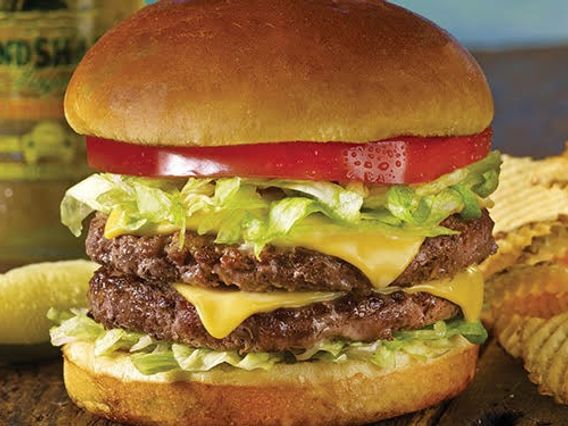 Landshark Bar & Grill photo