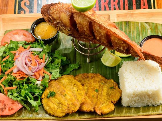 Simon Parrilla Longwood photo