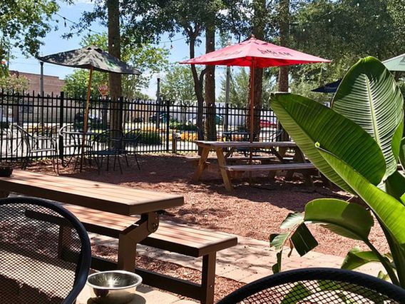 Celery City Craft Beer Garden photo