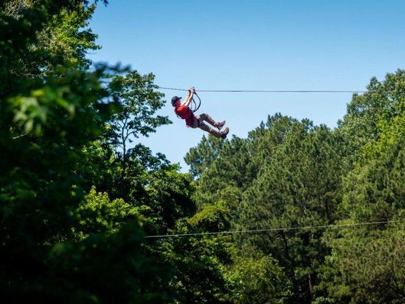 The Adventure Park at Virginia Aquarium photo