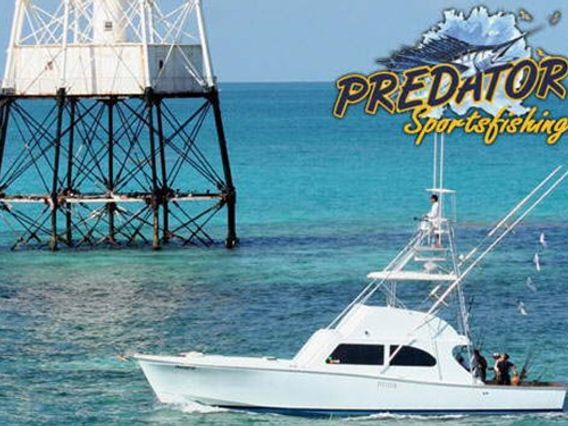 Predator Sportfishing photo