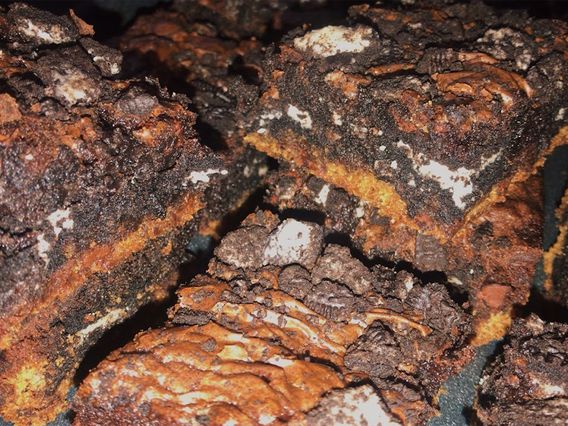 Kendall Treats photo