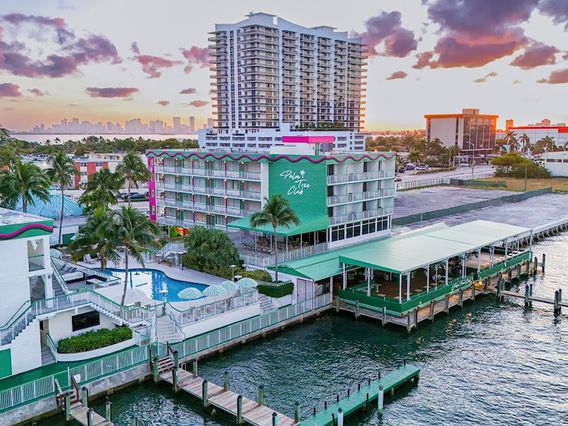 Palm Tree Club photo