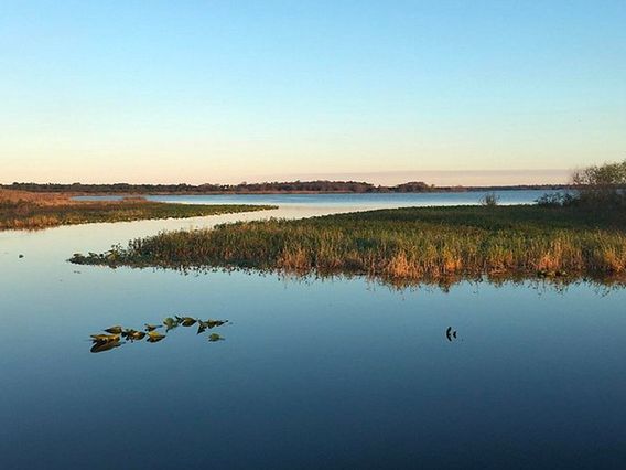 Lake Jesup Park photo