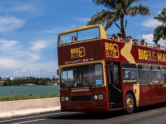 Big Bus Tours @ Bayside Marketplace photo