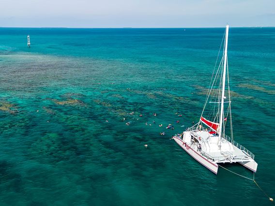 Sunset Watersports - Parrot Key Resort photo