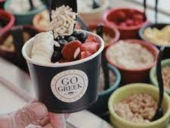 Go Greek Yogurt photo