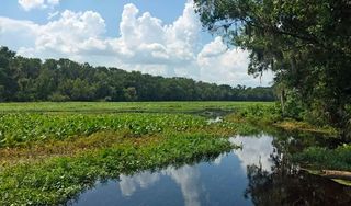 Wilson's Landing Park