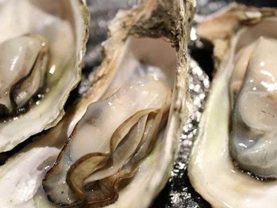 Gary Rack's Fish House + Oyster Bar photo