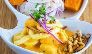 Dr. Limon Ceviche Bar