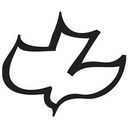 Calvary Chapel Fort Lauderdale  logo