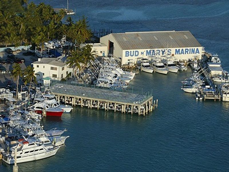 Bud N' Mary's Marina photo