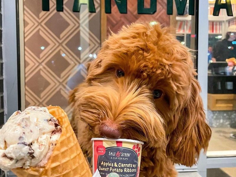 Salt and Straw photo