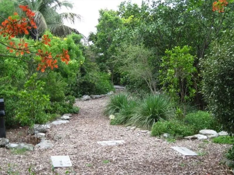 Key West Tropical Forest & Botanical Garden photo