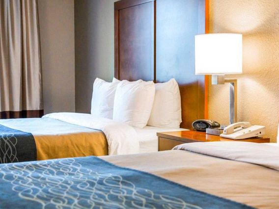 Comfort Inn & Suites Orlando North photo