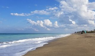 Porpoise Beach
