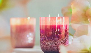 Anthropologie