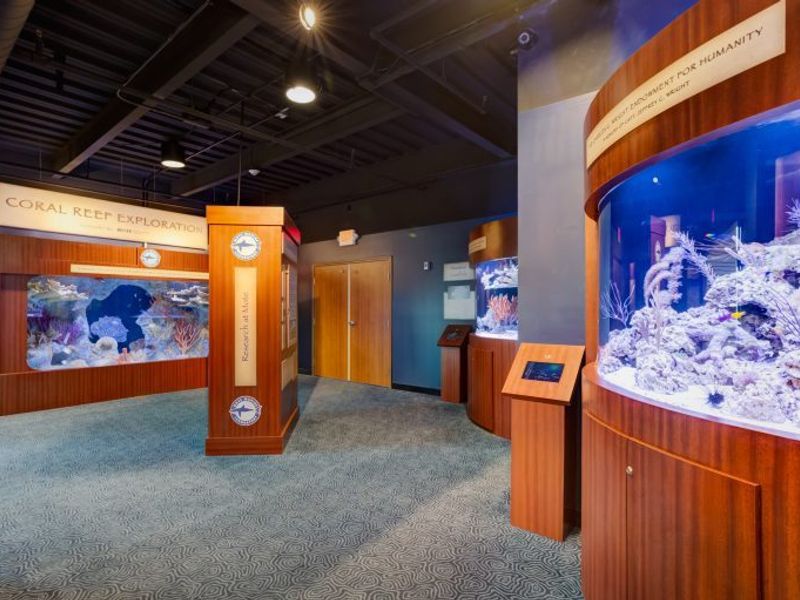Keys History & Discovery Center photo