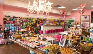 Woof Gang Bakery & Grooming