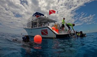 Diver's Paradise