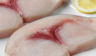 Florida Fresh Fish