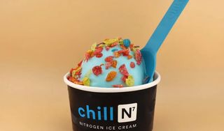 Chill-N Ice Cream Pinecrest