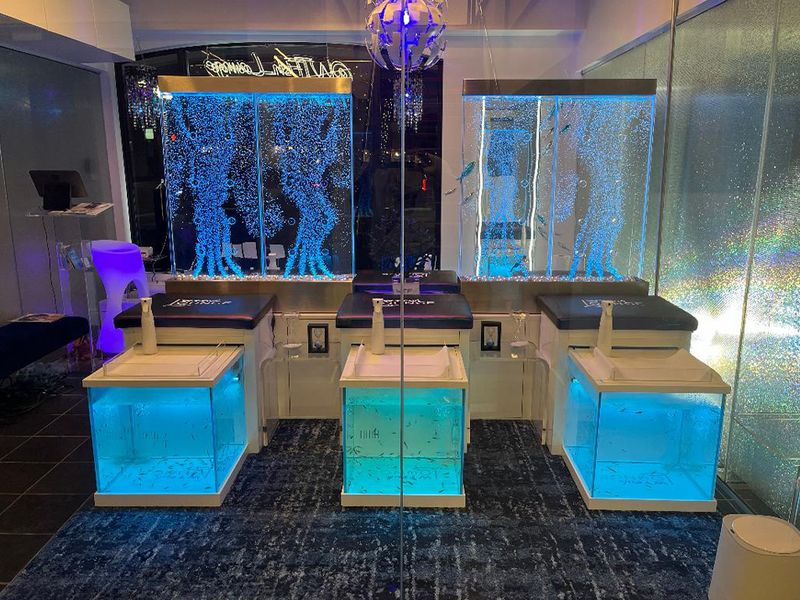 WTFish Lounge photo