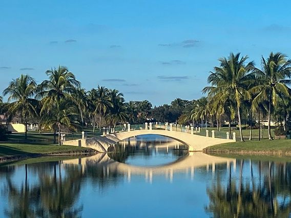 VillageWalk of Wellington photo