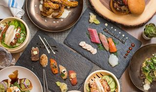 Mestizo Gastro Fusion