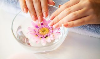 Dainty Nails & Spa
