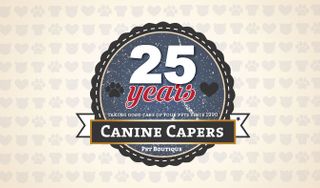 Canine Capers | Dog Groomers Plantation
