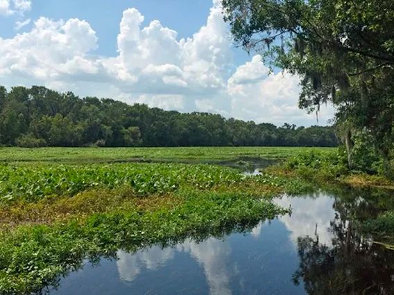 Wilson's Landing Park photo