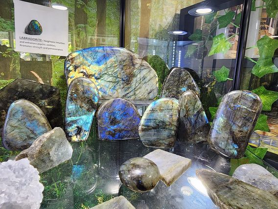 Hidden Gems Botanica photo