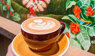 Macondo Coffee Roasters