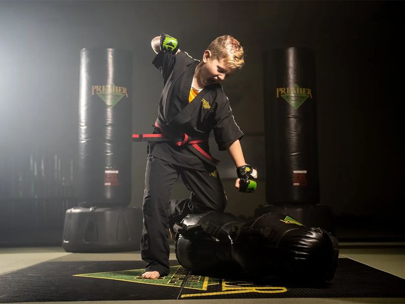 Premier Martial Arts photo