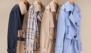 Ann Taylor