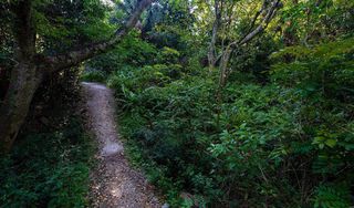 Arch Creek Park & Nature Center