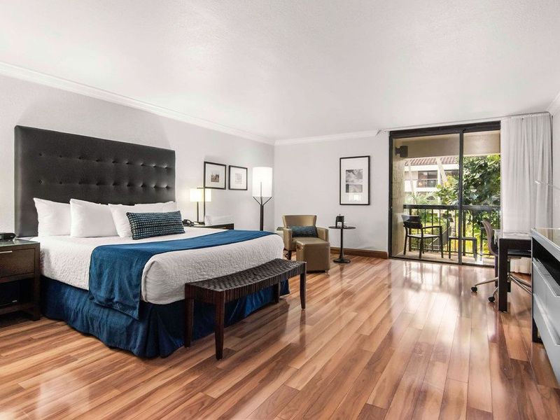 Miami Lakes Hotel on Main photo