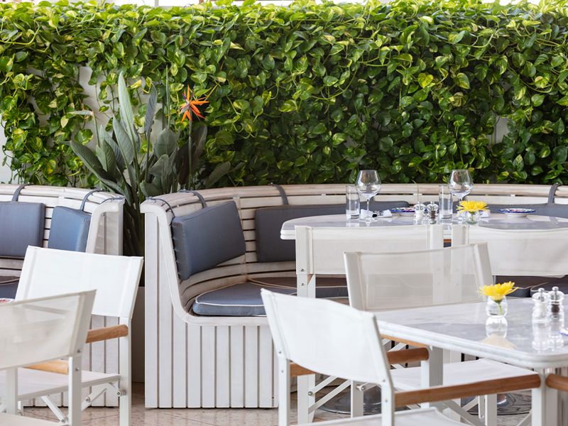 Bellini | Coconut Grove photo