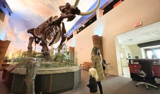 The Bishop Museum of Science and Nature 